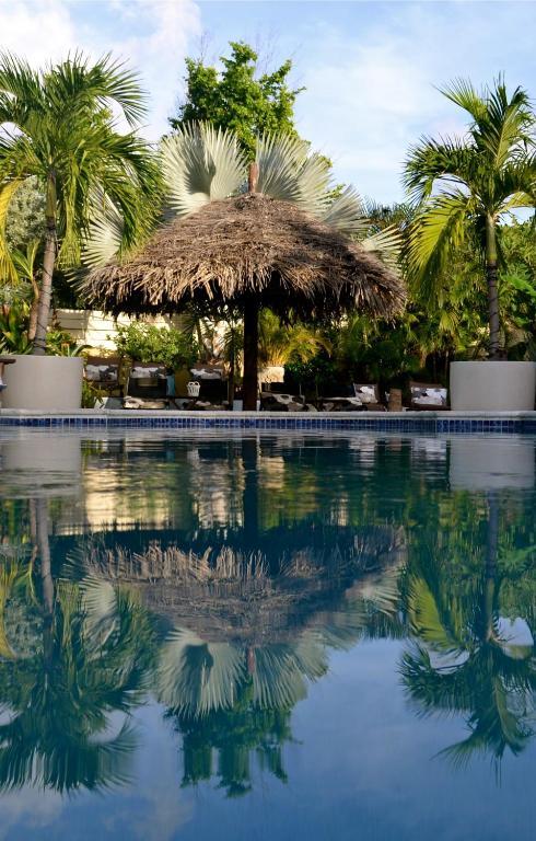 Bananas Apartments Adults Only Palm Beach Exteriér fotografie