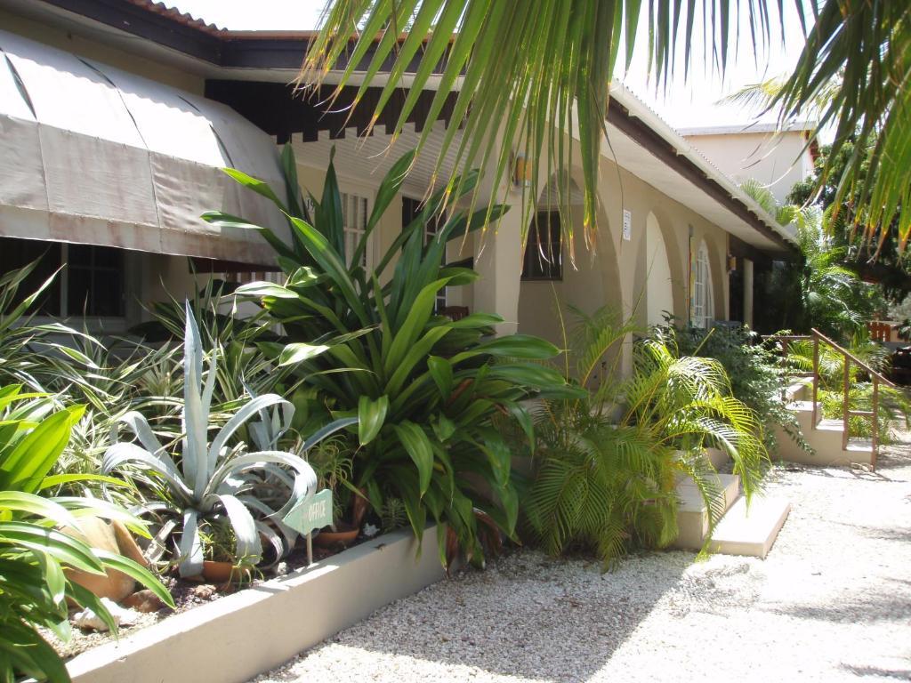 Bananas Apartments Adults Only Palm Beach Exteriér fotografie